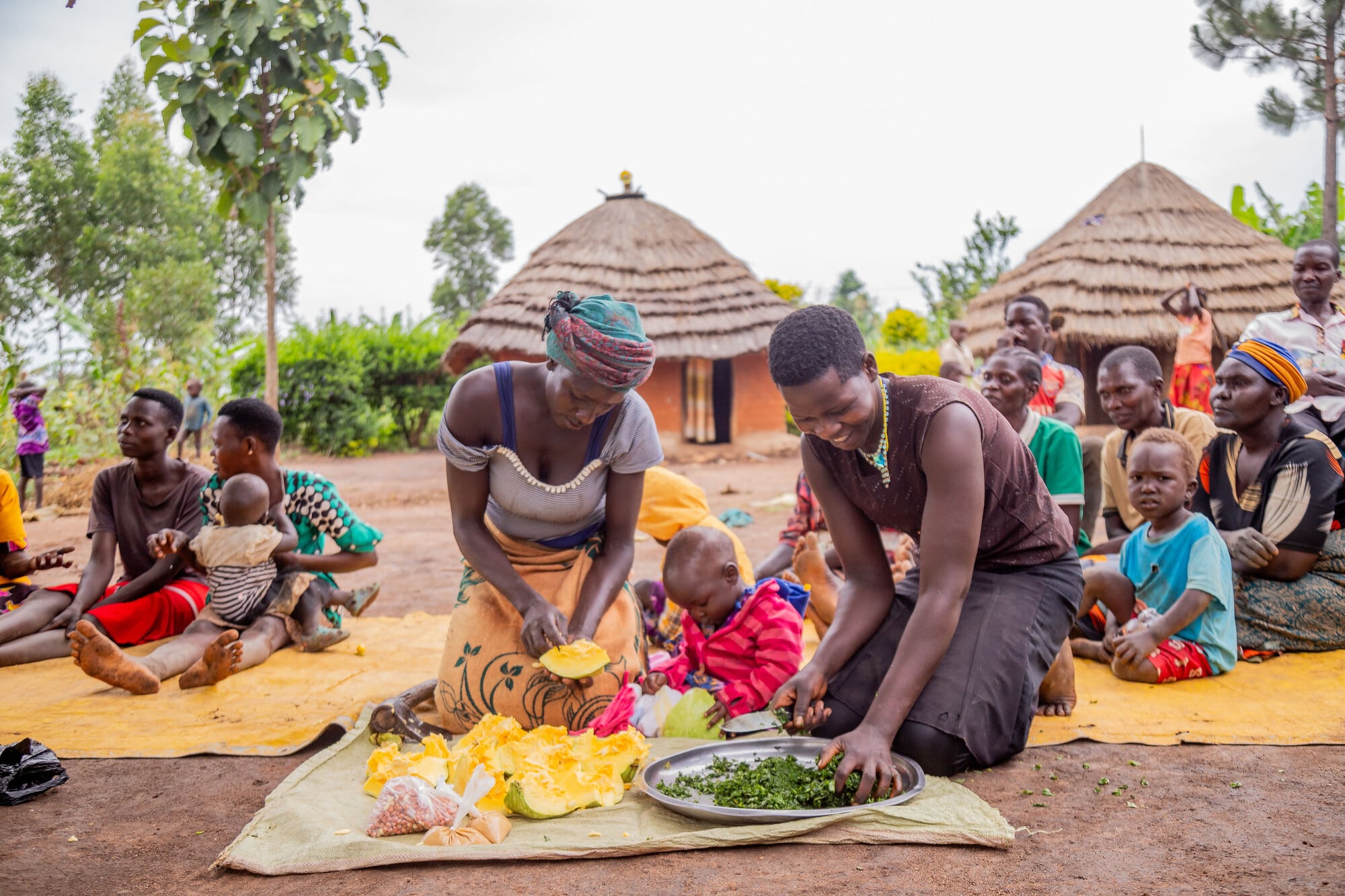 Mainstreaming Nutrition into IFAD projects (PRELNOR and VODP II) in Uganda