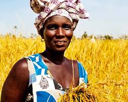 Rapid Assessment of IFAD funded project "Participatory Small-scale Irrigation Development Programme" Phase II (PASIDP II) in Ethiopia to identify gaps and opportunities for mainstreaming nutrition